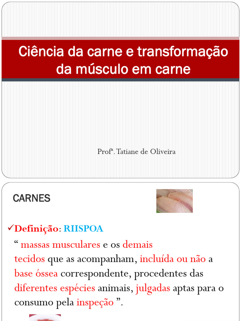 Ciência Da Carne e Transformação Da Carne em | PDF
