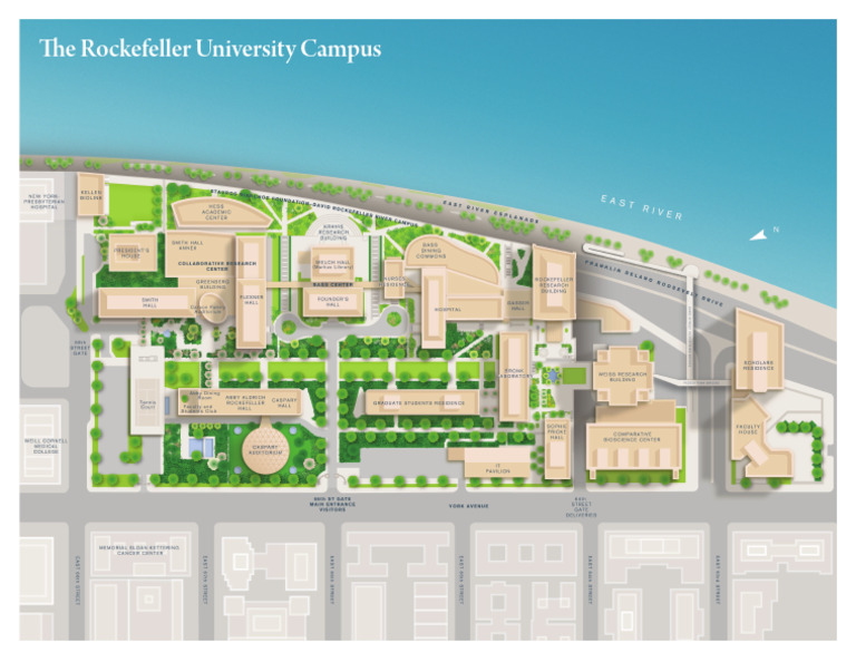 Httpswww2.Rockefeller - Educampusmapimgscampus Map 2019 PDF | PDF