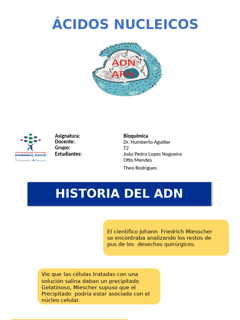 Historia y Funciones de los Ácidos Nucleicos | PDF | Rna | Adn