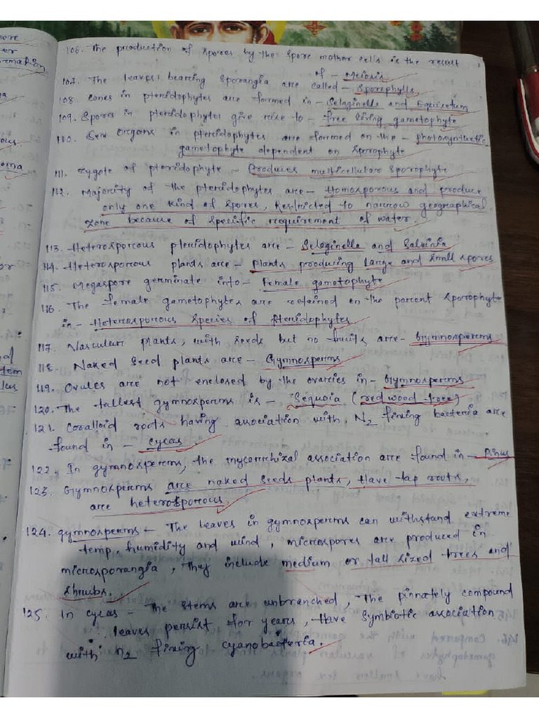 Hand Written Note 3 | PDF