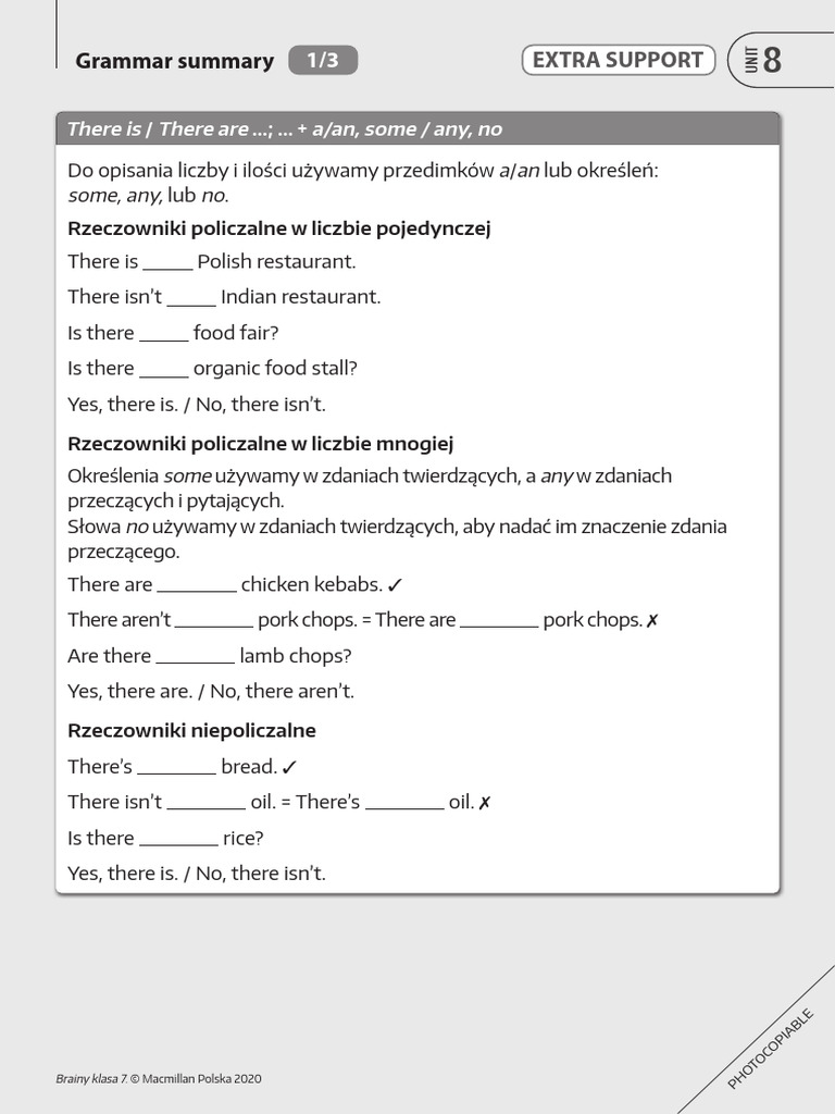 Brainy Kl7 TRF Extra Support Unit 8 Grammar Summary | PDF