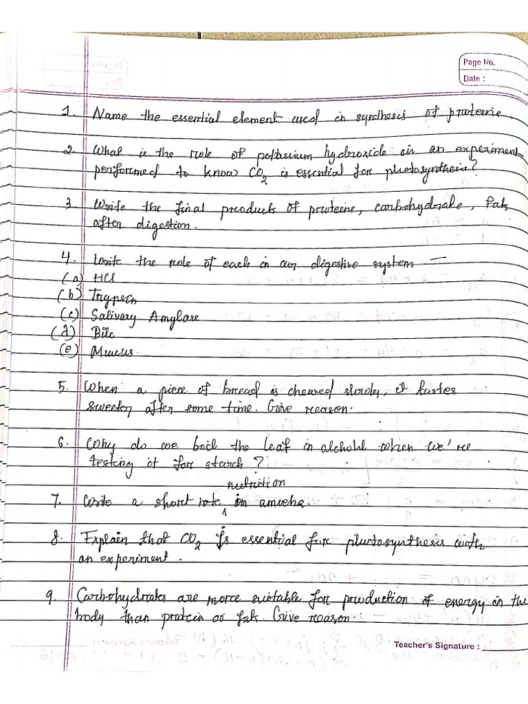 Bio Che | PDF