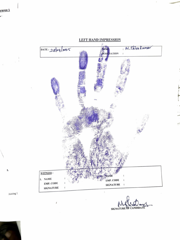 Hand Prints | PDF