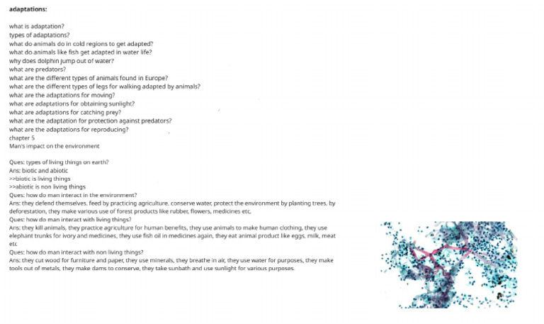 Chapter 5 | PDF