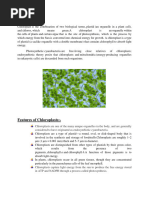 A Level Chloroplast Structure Diagram | PDF | Chloroplast | Cell (Biology)