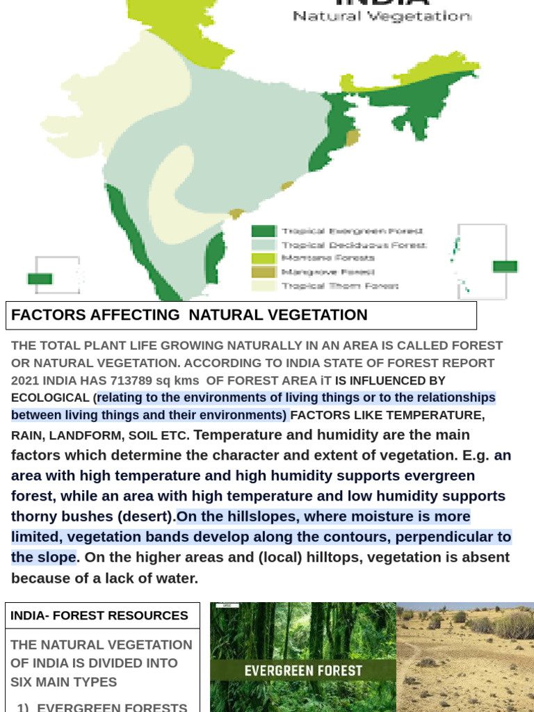 Overview of India's Forest Resources | PDF | Forests | Vegetation