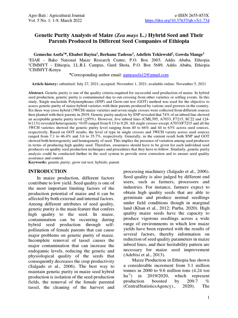 Genetic Purity of Maize Hybrids in Ethiopia | PDF | Maize | Hybrid ...