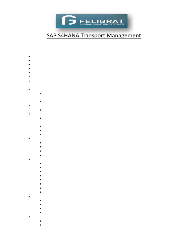 SAP S/4HANA Transportation Management Guide | PDF | Cargo | Logistics