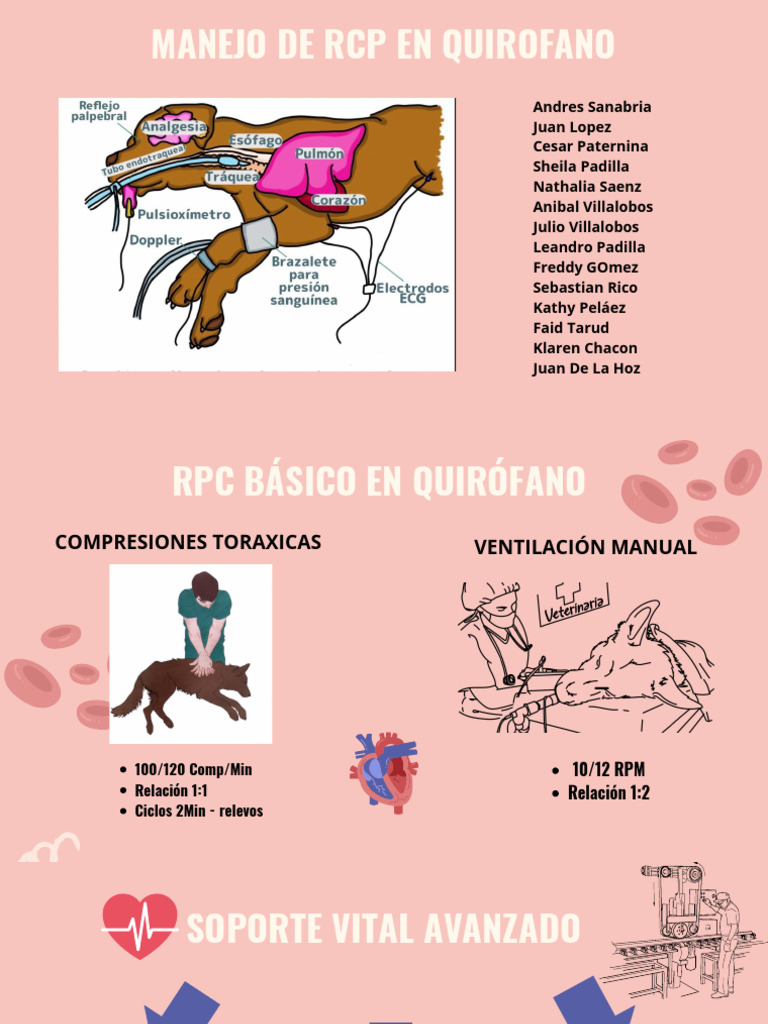 RPC Básico en Quirófano PDF | PDF