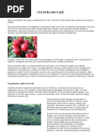 Cultura Do Cafe
