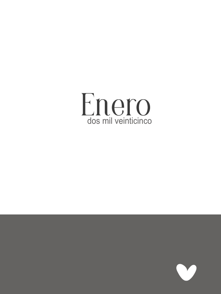 Control Financiero Mensual de Enero 2025 | PDF