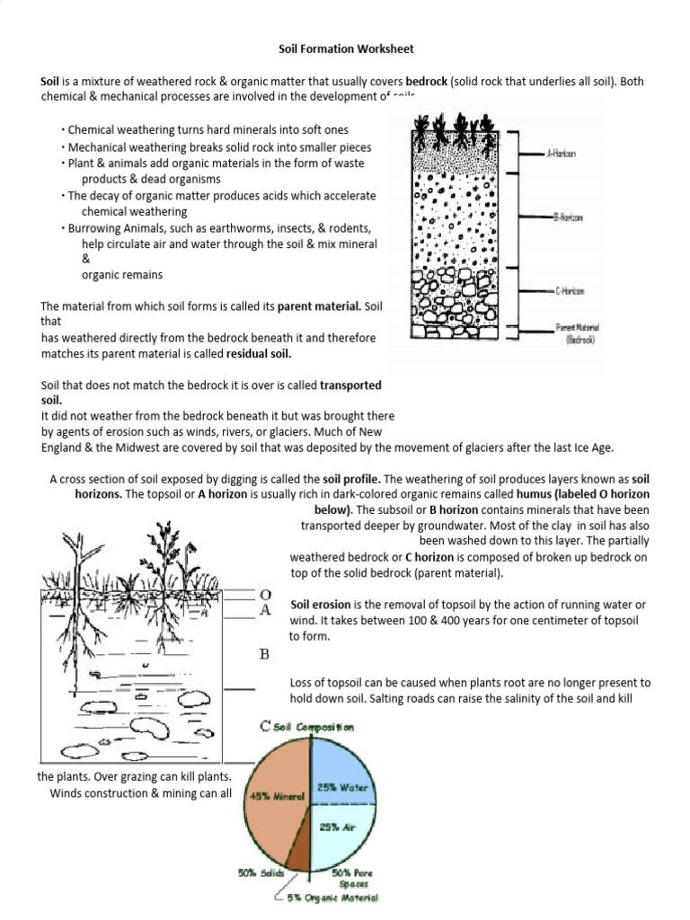 Soil Formation Worksheet Overview | PDF | Soil | Topsoil