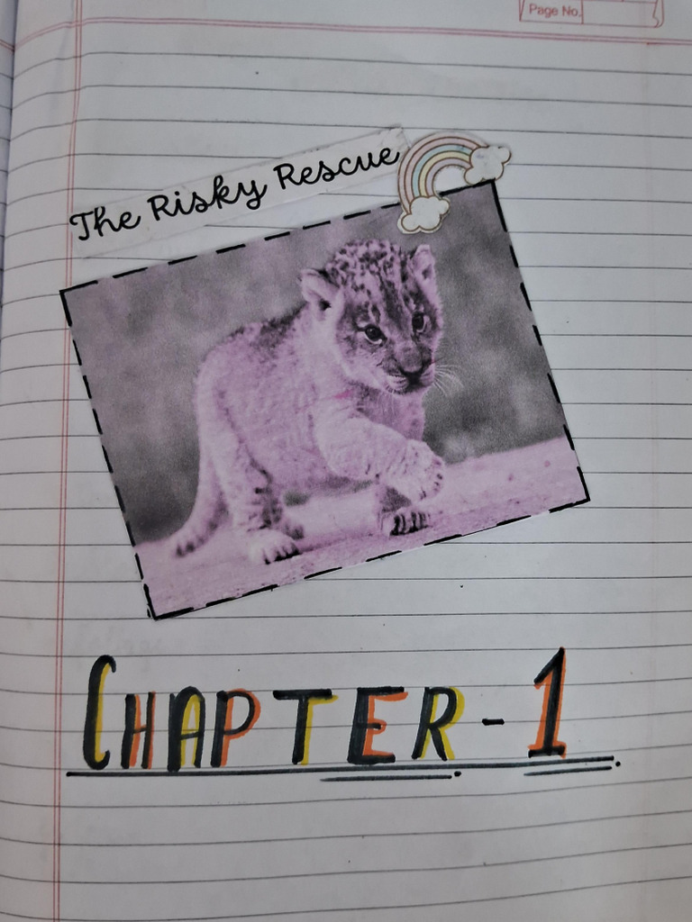 Chapter 1 The Risky Rescue | PDF