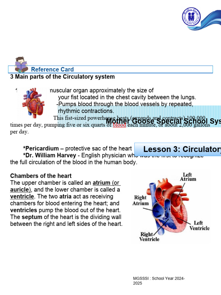 Sci4 Reference3 Circulatory System Reference | PDF | Heart | Blood