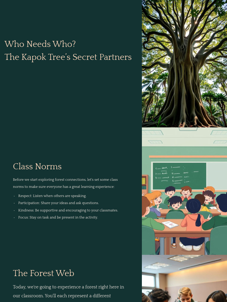 Kapok Tree Ecosystem Connections | PDF | Trees | Disturbance (Ecology)