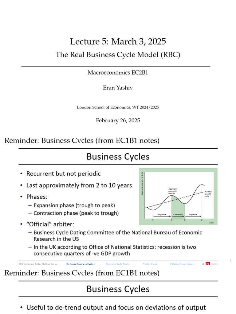 Real Business Cycle Model Overview | PDF | Macroeconomics | Business Cycle