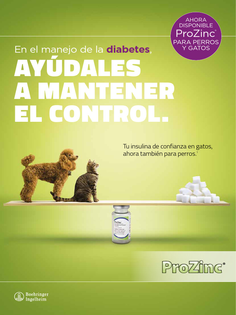 Insulina ProZinc® para perros y gatos | PDF | Diabetes | Gatos
