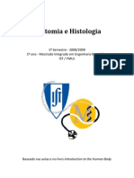 Anatomia e Histologia - IsT