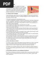 Técnicas y Tipos de Salto Vertical en Atletismo | PDF | Deporte del ...