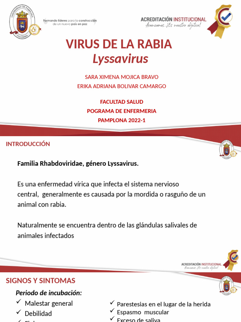 Virus de La Rabia EXPOSICIÓN | PDF | Rabia | Biología