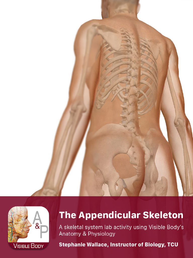 Appendicular Skeleton Lab Guide | PDF | Pelvis | Hand