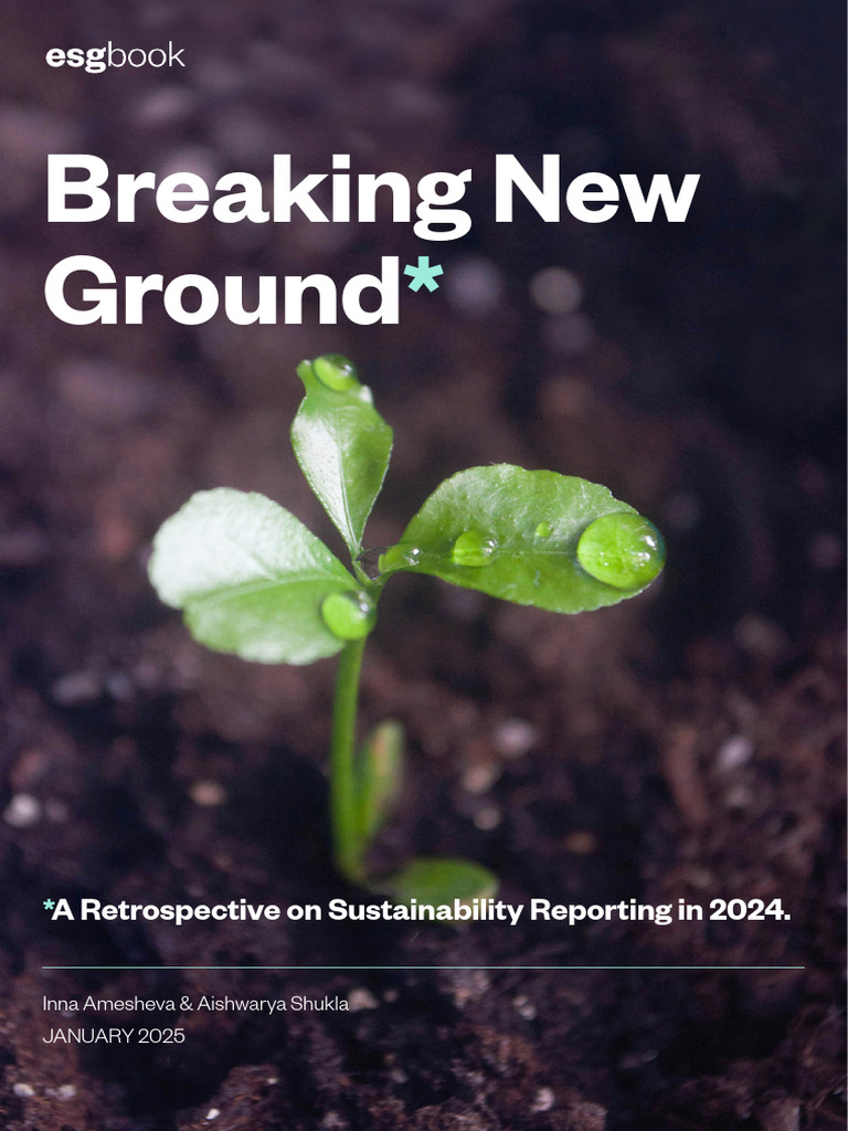 2024 Sustainability Reporting Review | PDF | Climate Change Mitigation ...
