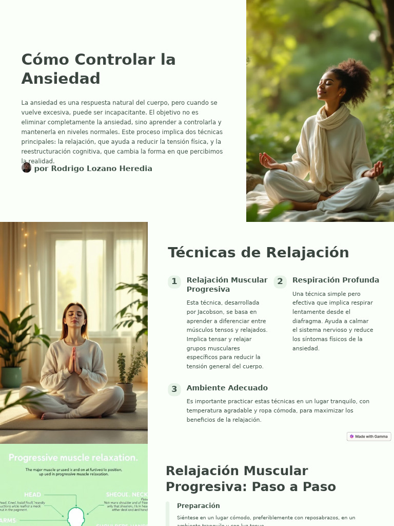 Como Controlar La Ansiedad | PDF | Ansiedad | Estrés (biología)