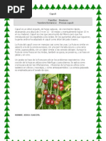 Beneficios y usos del capulí peruano | PDF | Comida y bebida