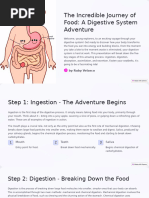Food Digestion Time Chart | PDF | Foods | Fruit