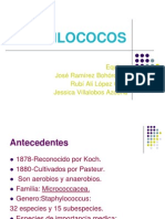 ESTAFILOCOCOS Fisio