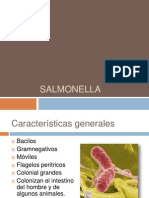 Salmonella