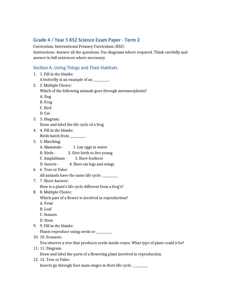 Year 5 KS2 Science Exam Paper | PDF | Earth | Rotation
