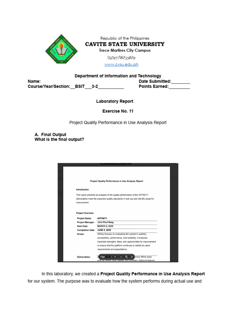 Project Quality Performance Analysis Report | PDF