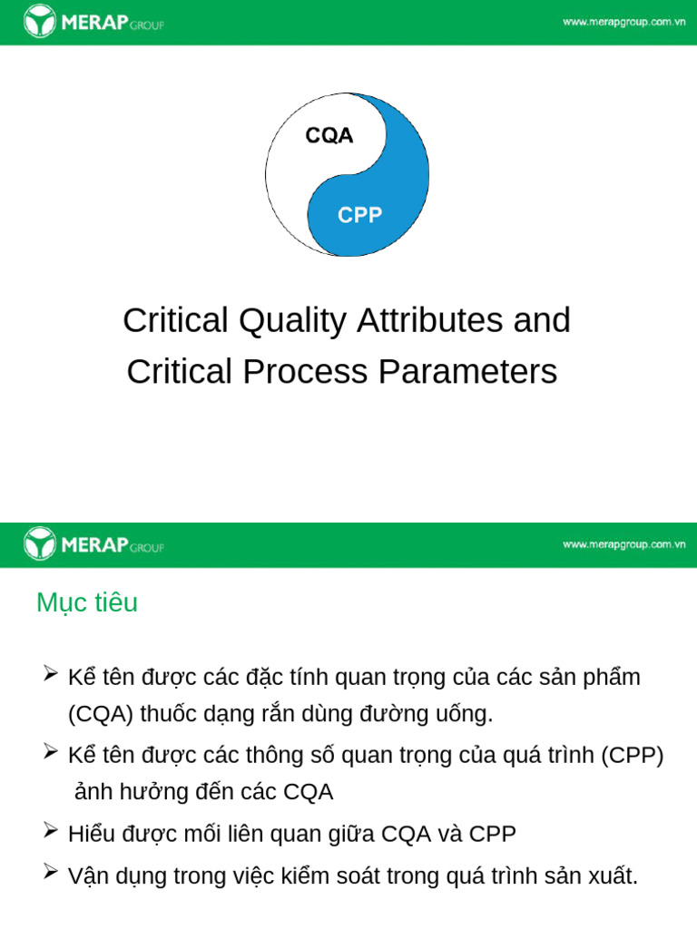 Đào T o CQA - CPP | PDF