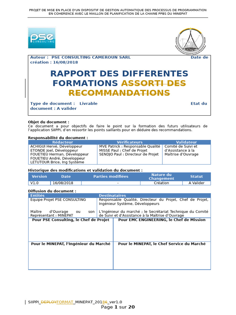 Rapport de formation SIIPPI au MINEPAT | PDF | Planification | Programme