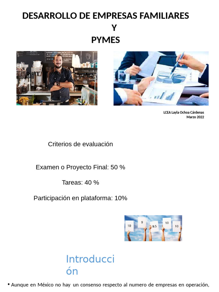 PYMES | PDF | Pequeñas y medianas empresas | Business