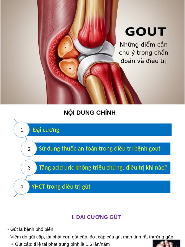 22.5 Gout | PDF