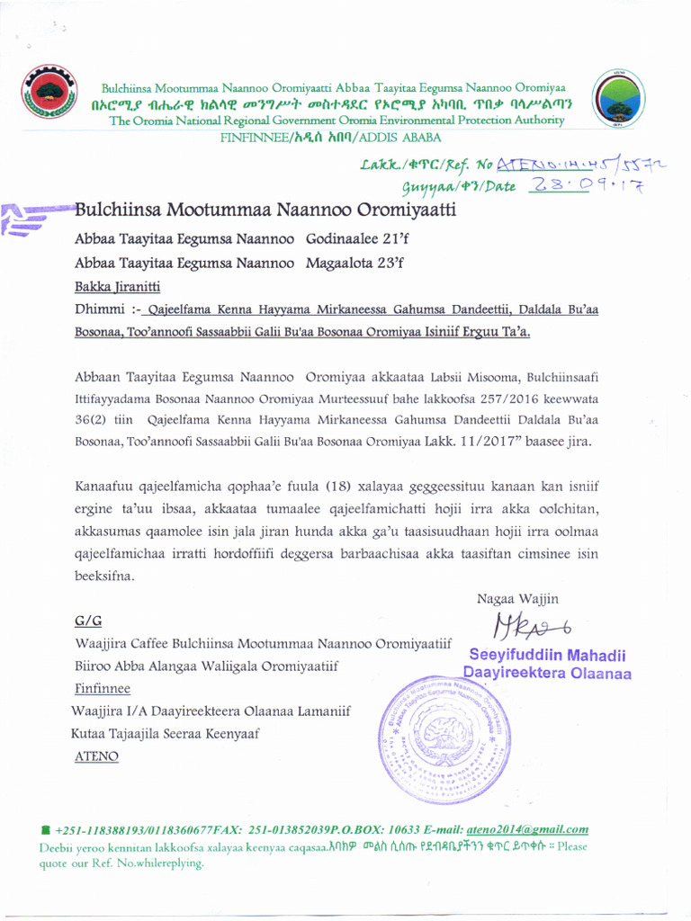 Ular mening mushukimga shishani tiqishmoqda