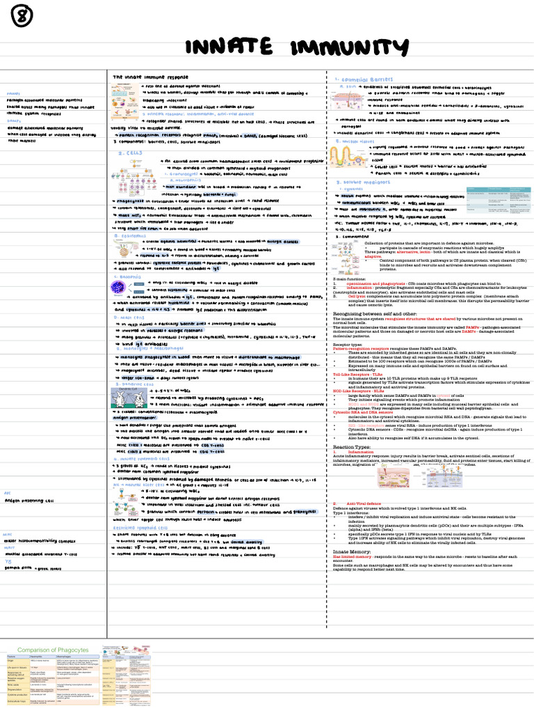 Overview of Innate Immunity Components | PDF | Innate Immune System ...