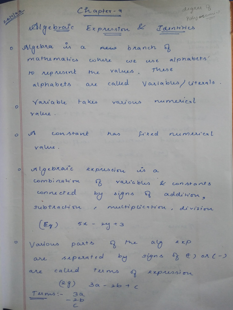 Algebraic Expressions Full Notes | PDF
