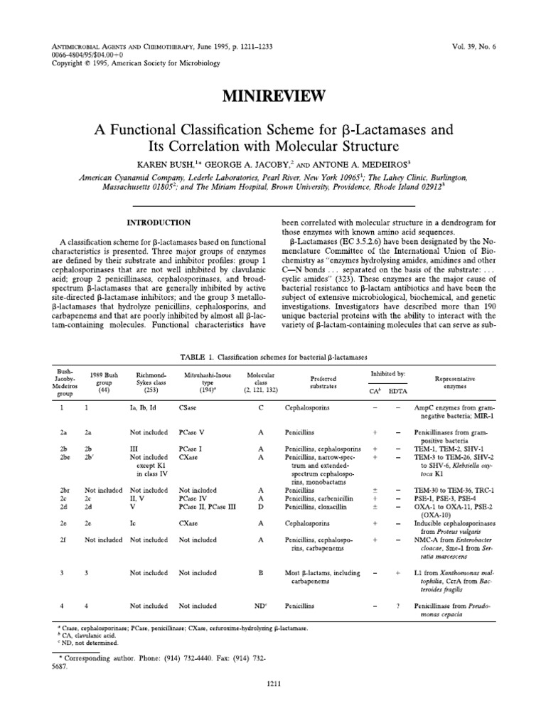 Beta Lactamases With Molecular Correlation | PDF