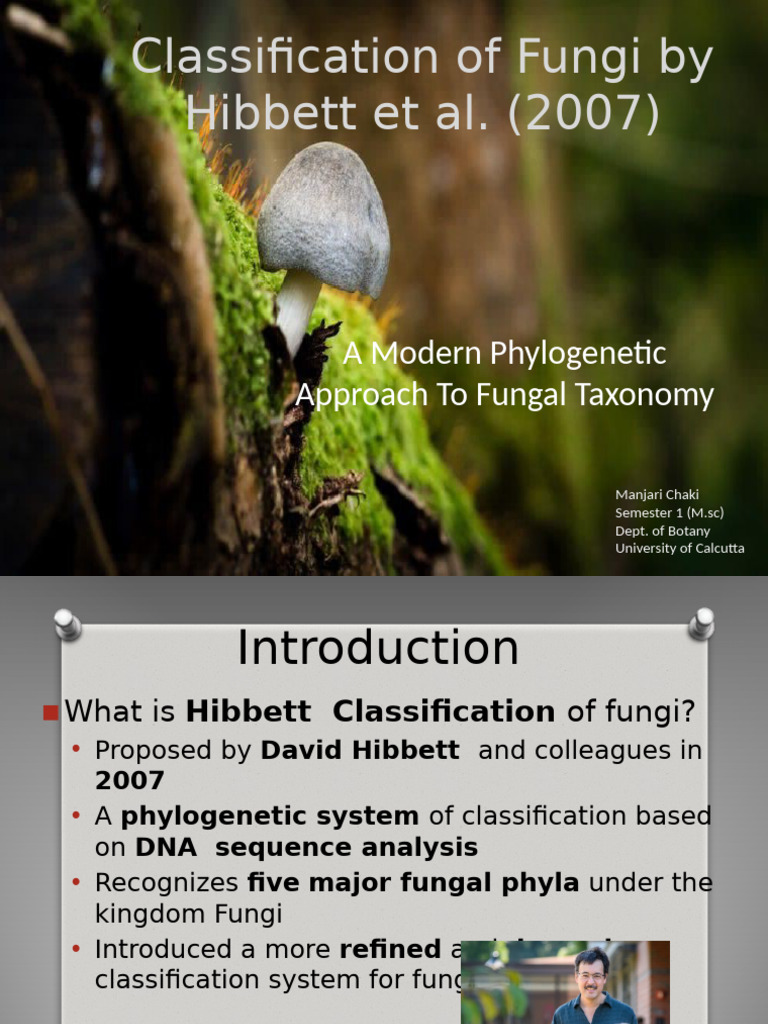 Hibbett Classification Mod | PDF | Fungus | Biology