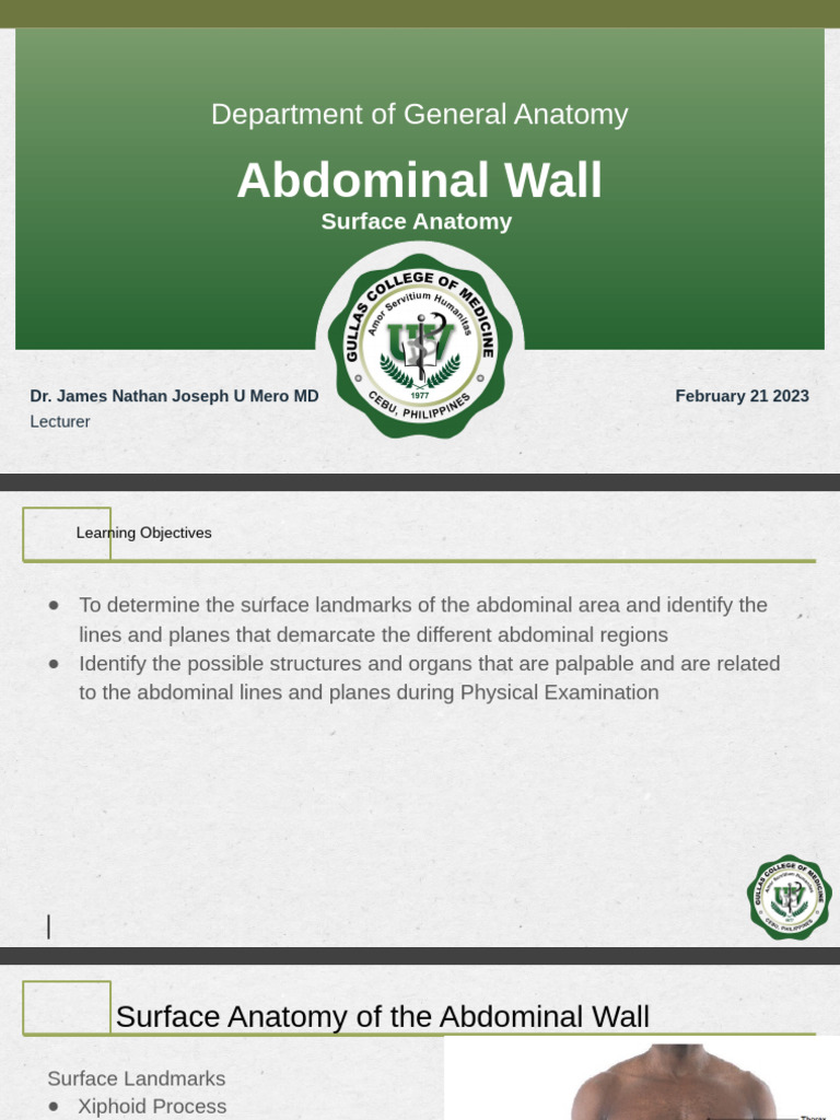 Abdominal Surface Anatomy Overview | PDF | Abdomen