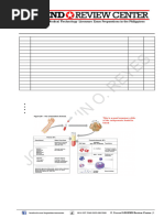 Order of Draw and Blood Additives Guide | PDF | Coagulation | Blood Plasma