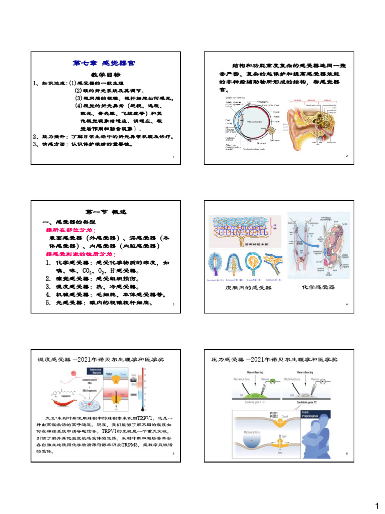 德國量子光動力系統Supertuning 組合| PDF, image size:768x1024