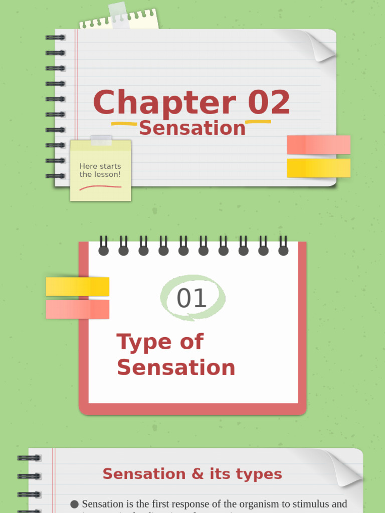 Understanding Sensation and Perception | PDF | Ear | Senses