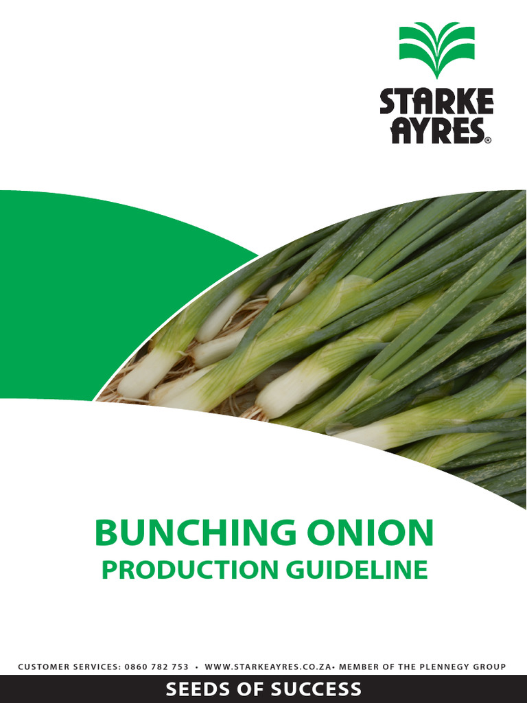 Bunching Onion Production Guide | PDF | Onion | Soil