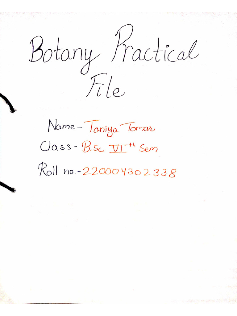 Botany Practical File | PDF
