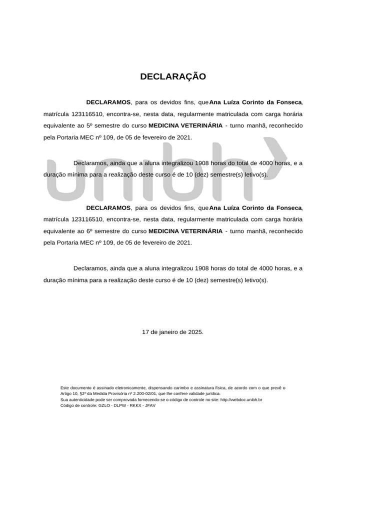 Declaração: DECLARAMOS, para Os Devidos Fins, Que Ana Luíza Corinto Da ...