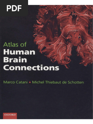 Dokumen - Pub Atlas of Human Brain Connections 1nbsped
